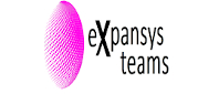Expansys Teams Management - Trabajo